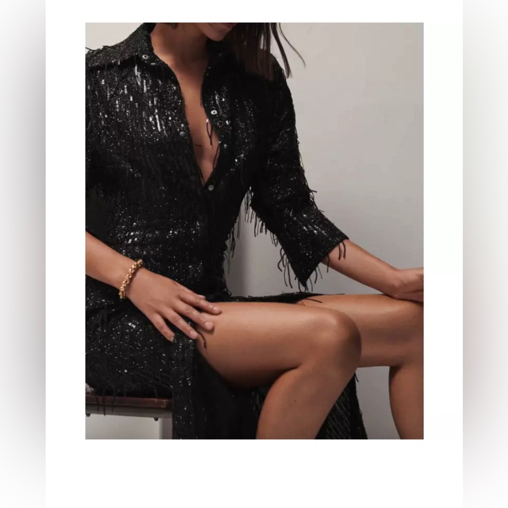 ZARA Women Limited Edition Sequined Dress